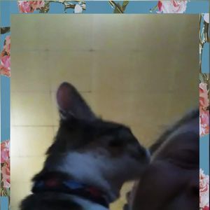 Meet your Posher, Deborah